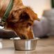 Купа Nobby Stainless steel bowl, 1,75 л 00000002848 снимка 3