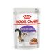 Храна Royal Canin Sterilised Gravy - 12х85 гр 00000002765 снимка 1