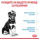 Храна Royal Canin SHN Puppy - Maxi, 4 кг 00000002742 снимка 2