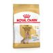 Храна Royal Canin BHN Yorkshire Terrier 8+, 500 гр 00000002565 снимка 1