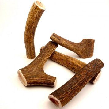 Лакомство Naturcota Deer Antlers - SS, SS 00000005778 снимка