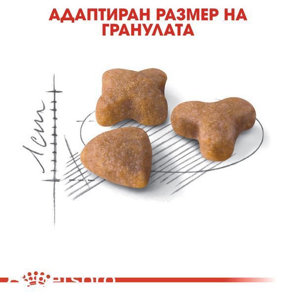 Храна Royal Canin FHN SENSIBLE 33, 10 кг 00000002689 снимка