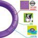 Игрушка Ferplast Toy Puller Ring - 2 шт, 18x4,7 cm 00000008422 фото 2