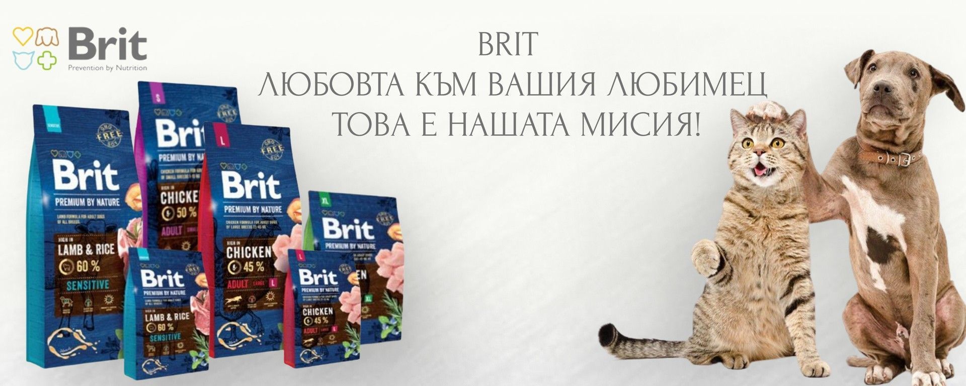 Brit