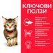 Хапки в сос Hill's Science Plan Kitten Turkey - 12x85 гр 00000003595 снимка 2