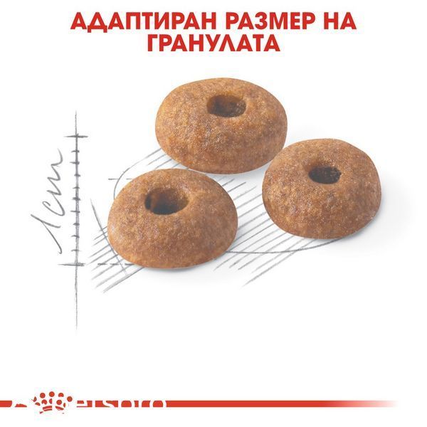 Храна Royal Canin FHN Fit 32, 2 кг 00000002660 снимка