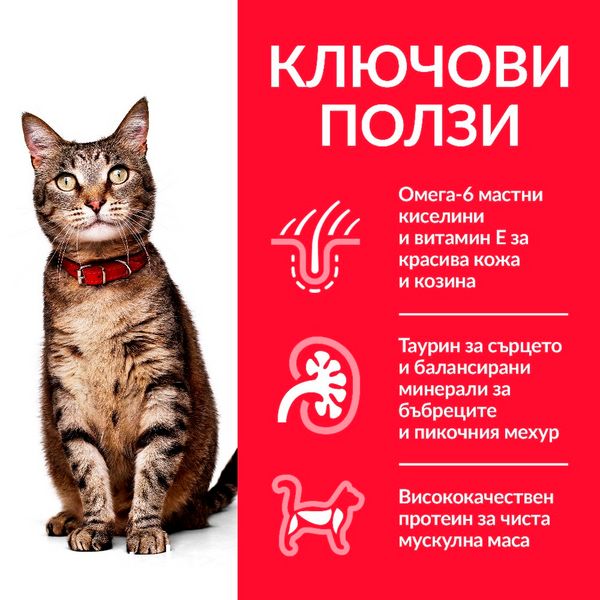 Хапки в сос Hill's Science Plan Feline Adult Favourite Selection - 12x85 гр 00000003585 снимка