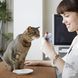 Лакомство Ciao Cat Treats Grilled Tuna Fillet in Scallop Flavoured Broth - 15 гр 00000010168 снимка 2
