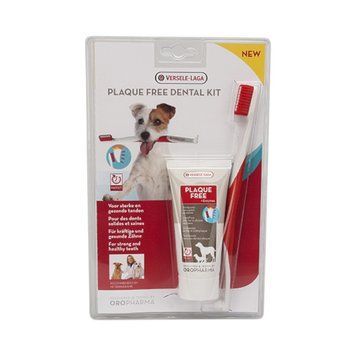 Паста за зъби + четка Versele Laga Dental Care - 100 гр 00000009267 снимка