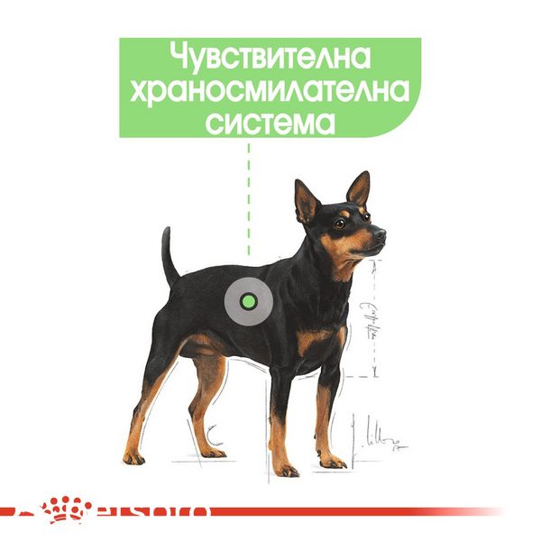 Храна Royal Canin CCN Mini Digestive Care, 3 кг 00000002593 снимка
