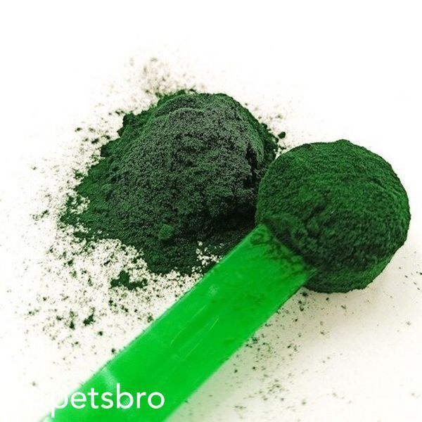 Добавка Game Dog Barfer Spirulina - 300 гр 00000003558 снимка