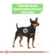 Храна Royal Canin CCN Mini Digestive Care, 3 кг 00000002593 снимка 2