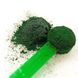 Добавка Game Dog Barfer Spirulina - 300 гр 00000003558 снимка 2