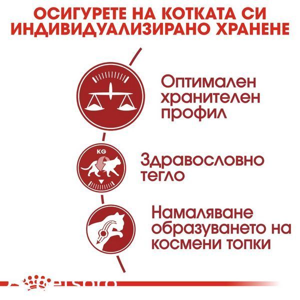 Храна Royal Canin FHN Fit 32, 10 кг 00000002659 снимка