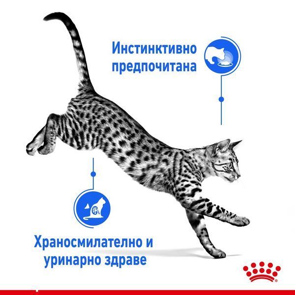 Храна Royal Canin Indoor Sterilized - 12х85 гр 00000002703 снимка