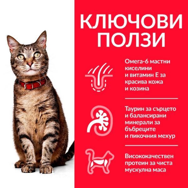 Хапки в сос Hill's Science Plan Feline Adult Chicken - 12x85 гр 00000003584 снимка