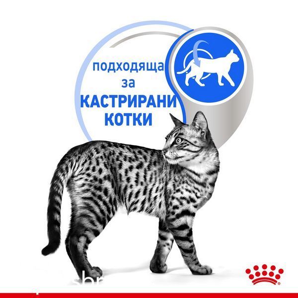 Храна Royal Canin Indoor Sterilized - 12х85 гр 00000002703 снимка