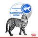Храна Royal Canin Indoor Sterilized - 12х85 гр 00000002703 снимка 3