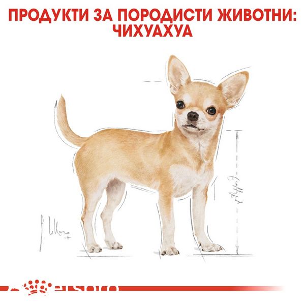 Храна Royal Canin BHN Chihuahua Adult, 1,5 кг 00000002529 снимка