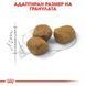 Храна Royal Canin FHN Indoor 7+, 1,5 кг 00000002666 снимка 2