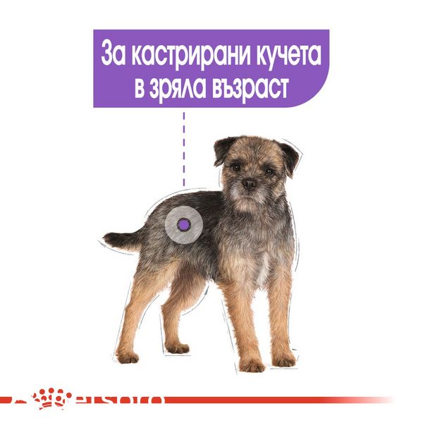 Храна Royal Canin CCN Mini Sterilised, 1 кг 00000002599 снимка