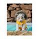 Куртка Freedog Pooch Coat Yellow, 40 cm 00000009509 фото 3