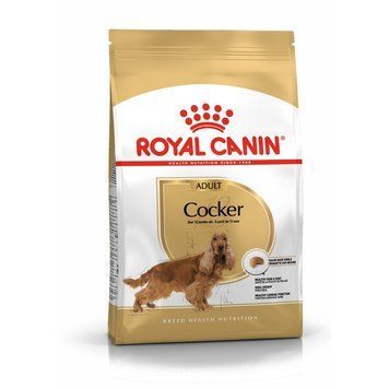 Корм Royal Canin BHN Cocker Adult, 12 кг 00000002533 фото