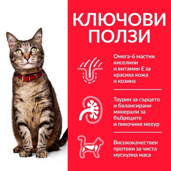 Сухой корм Hill's Science Plan Feline Adult Chicken, 300 гр 00000003666 фото