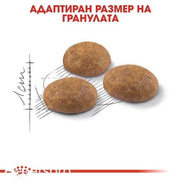 Храна Royal Canin FHN Outdoor, 2 кг 00000002680 снимка