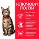 Сухой корм Hill's Science Plan Feline Adult Chicken, 300 гр 00000003666 фото 3