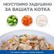 Мокра храна Hill's Science Plan Stew Kitten Healthy Cuisine Chicken - 12x85 гр 00000003600 снимка 2