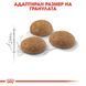 Храна Royal Canin FHN Outdoor, 2 кг 00000002680 снимка 2