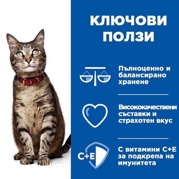 Мокрый корм Hill's Science Plan Stew Adult Cat Healthy Cuisine Chicken & Vegetables - 12x85 гр 00000003598 фото