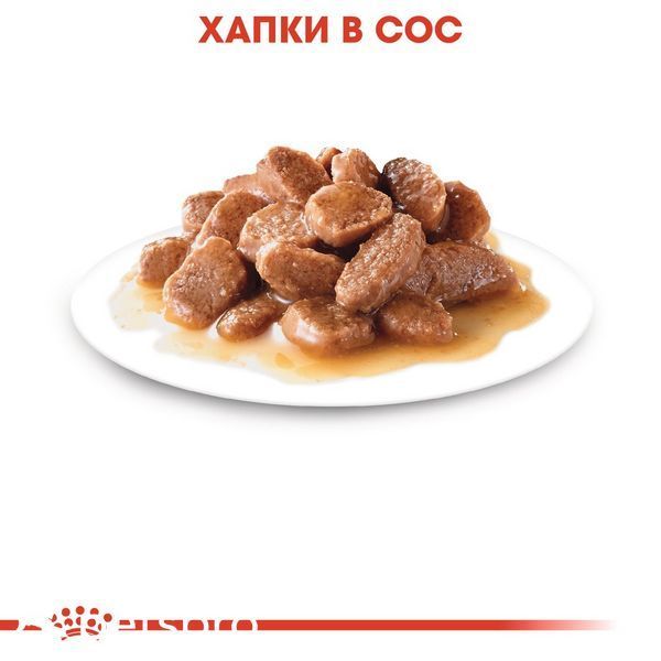 Храна Royal Canin Care Intense Beauty Gravy - 12х85 гр 00000002573 снимка